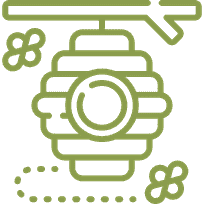 Apiculture