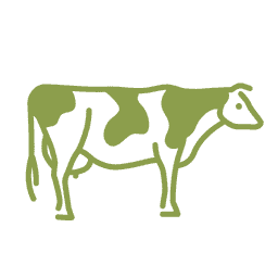 Animaux