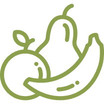 Fruit